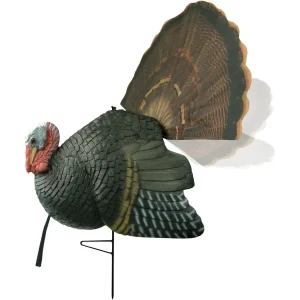 Turkey Decoy